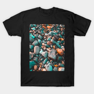 Pebble at the Beach, New-Brunswick, Canada V1 T-Shirt